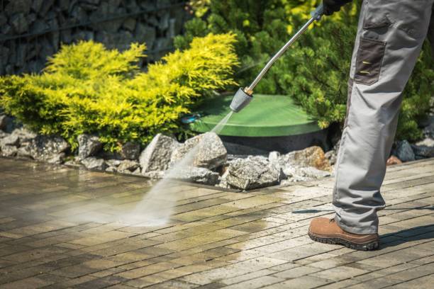 Best Fence Cleaning and Maintenance in Cloquet, MN