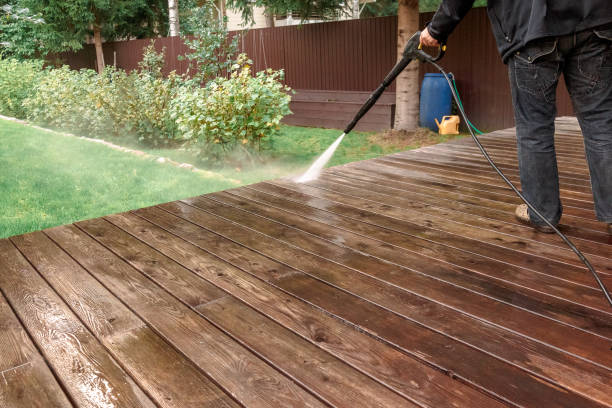 Best Roof Cleaning and Mildew Removal in Cloquet, MN